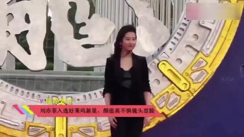 群众喂鹅吃瓜视频,群众围观笑翻天