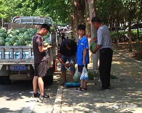 巴州吃瓜群众事件真相视频,揭秘真相背后的真相