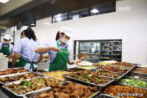 江西食堂吃瓜事件视频曝光,校园食品安全问题引发关注