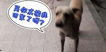 吃瓜场面视频,吃瓜群众狂欢，一场视觉盛宴