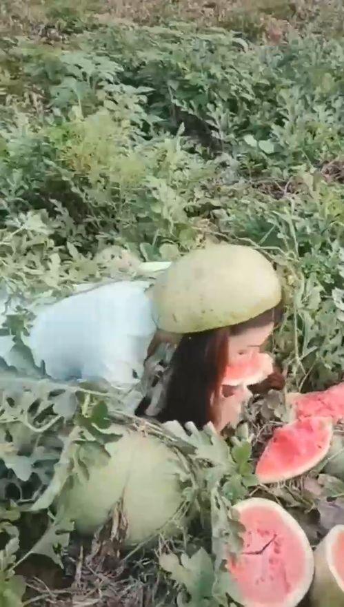 漂亮小姐姐吃瓜视频,小姐姐吃瓜视频引网友热议