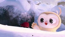 搞笑若涵吃瓜日常视频,笑料百出，瓜田笑果连连